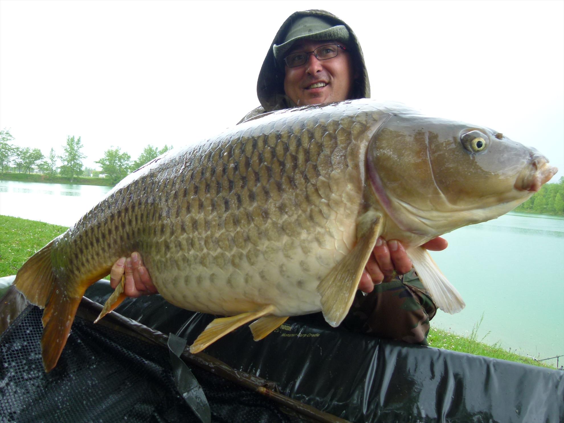 THE BIGS OF 2012 - p1000036.JPG